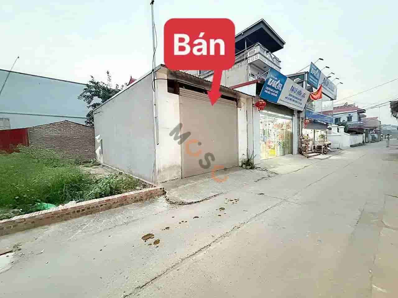 Image Image