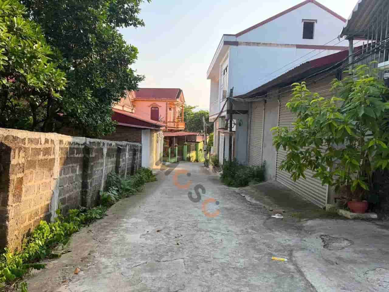 Image Image