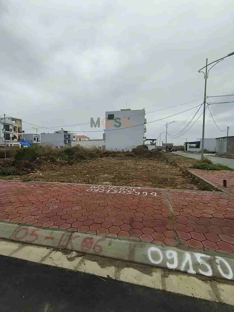 Image Image
