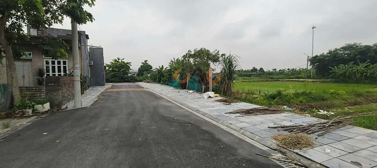 Bán đất Đình Trung Huyện Đông Anh, TP. Hà Nội – giá 7.5 tỷ — Hình 3 Bán đất Đình Trung Huyện Đông Anh, TP. Hà Nội – giá 7.5 tỷ — Hình 3