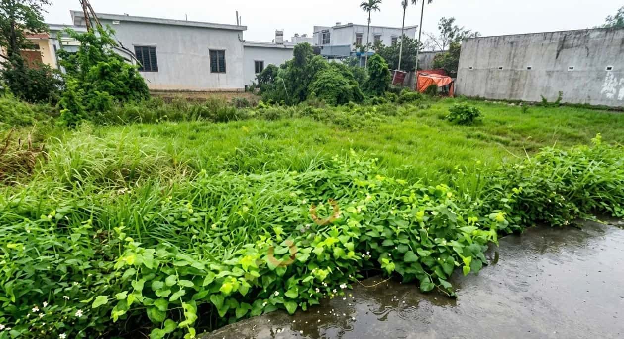 Bán đất thôn Hoàng Lâu Quận An Dương, TP. Hải Phòng – giá 880 triệu — Hình 2 Bán đất thôn Hoàng Lâu Quận An Dương, TP. Hải Phòng – giá 880 triệu — Hình 2