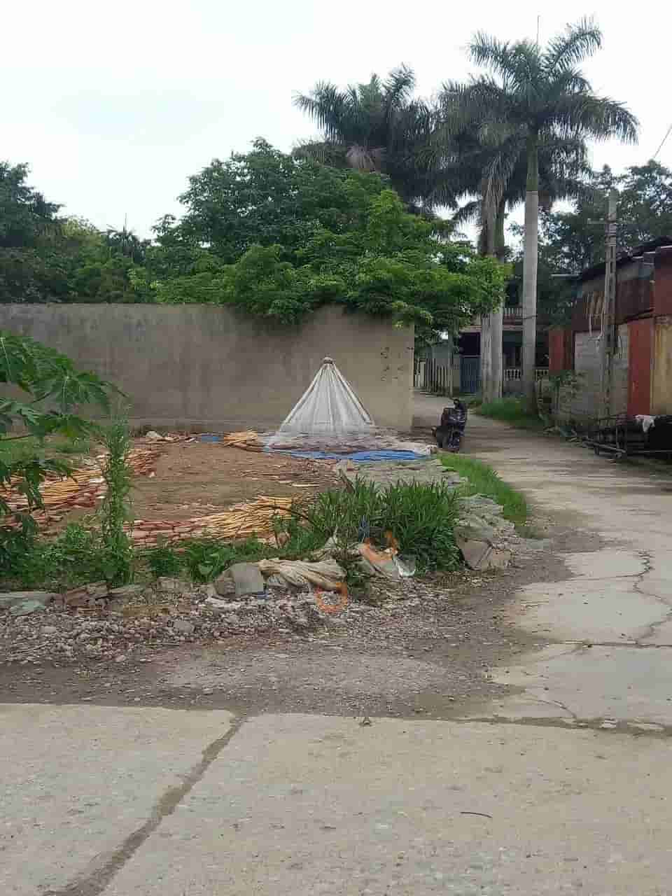 Image Image