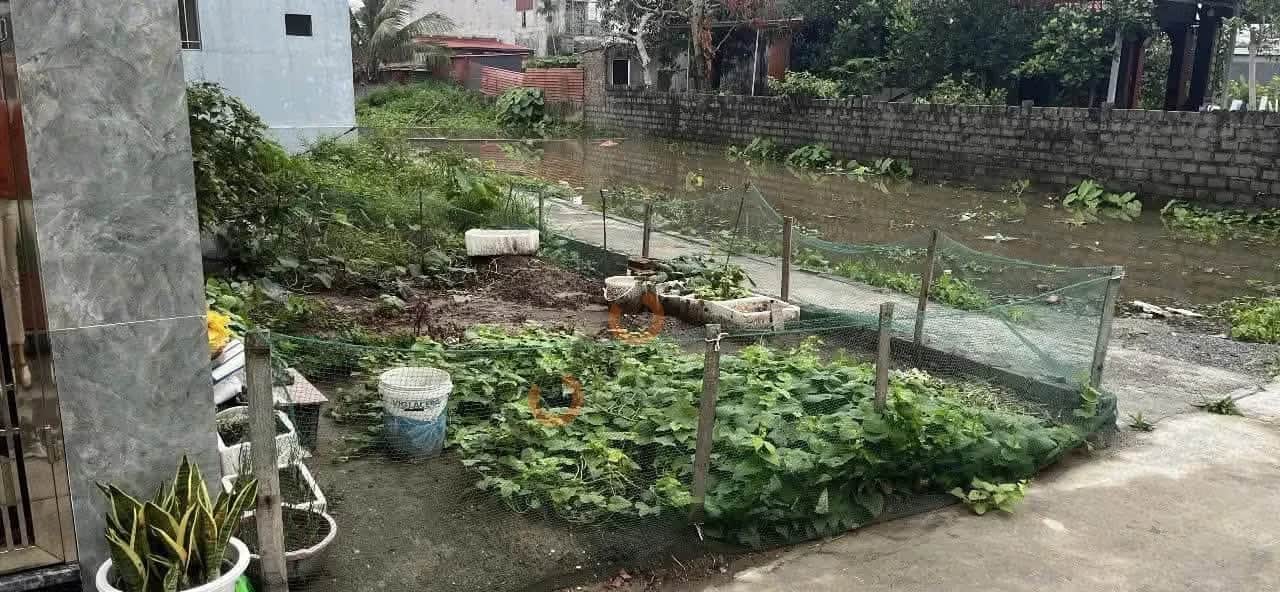 Bán đất Tổ dân phố Quang Trung Quận Đồ Sơn, TP. Hải Phòng – giá 999 triệu Bán đất Tổ dân phố Quang Trung Quận Đồ Sơn, TP. Hải Phòng – giá 999 triệu