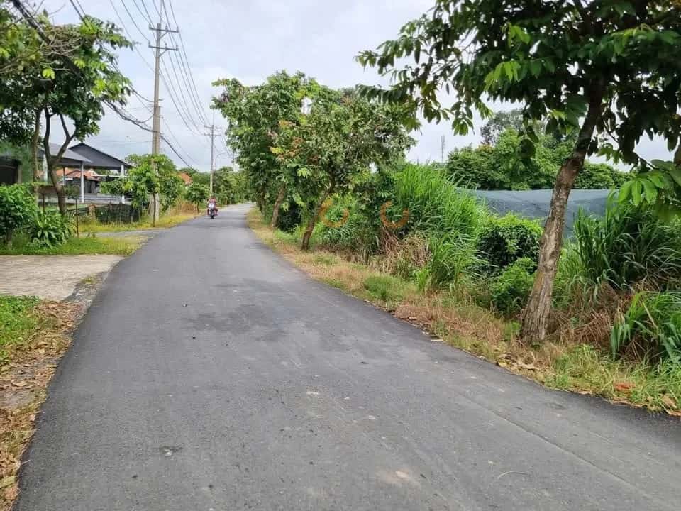 Hình ảnh nhà 3 Hình ảnh nhà 3