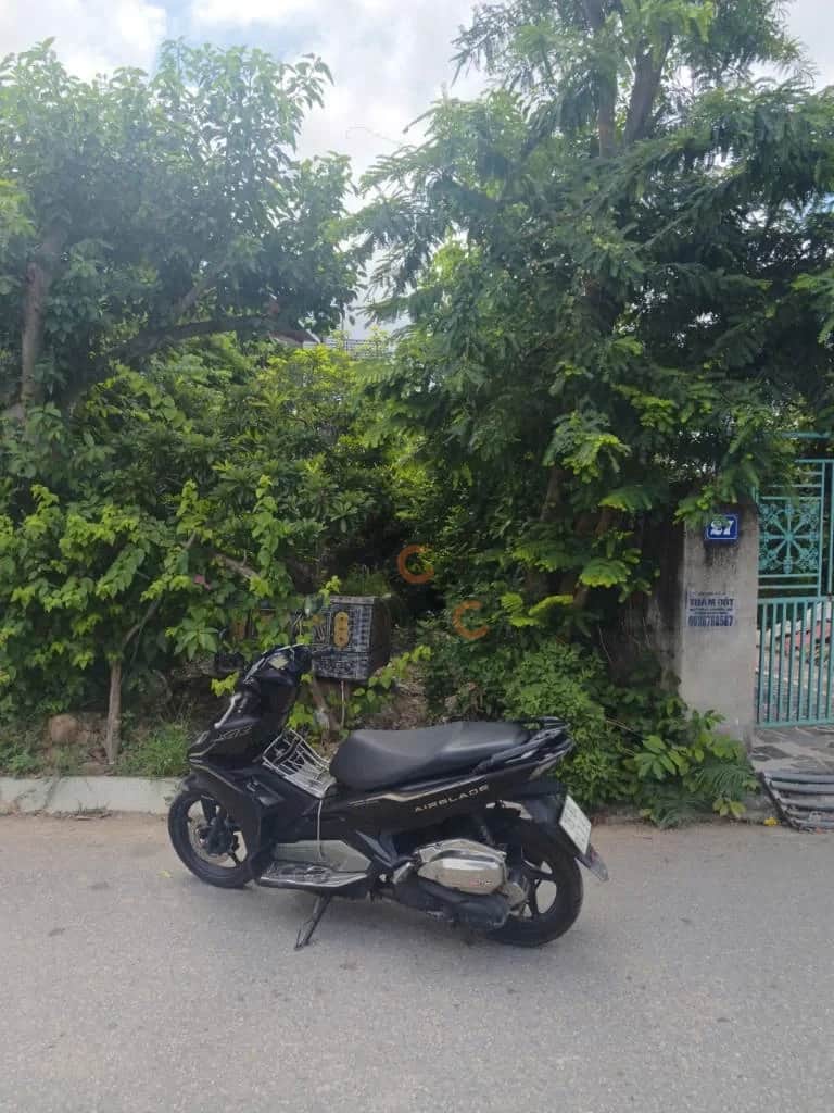 Bán đất Tổ dân phố Quang Trung Quận Đồ Sơn, TP. Hải Phòng – giá 1.8 tỷ Bán đất Tổ dân phố Quang Trung Quận Đồ Sơn, TP. Hải Phòng – giá 1.8 tỷ