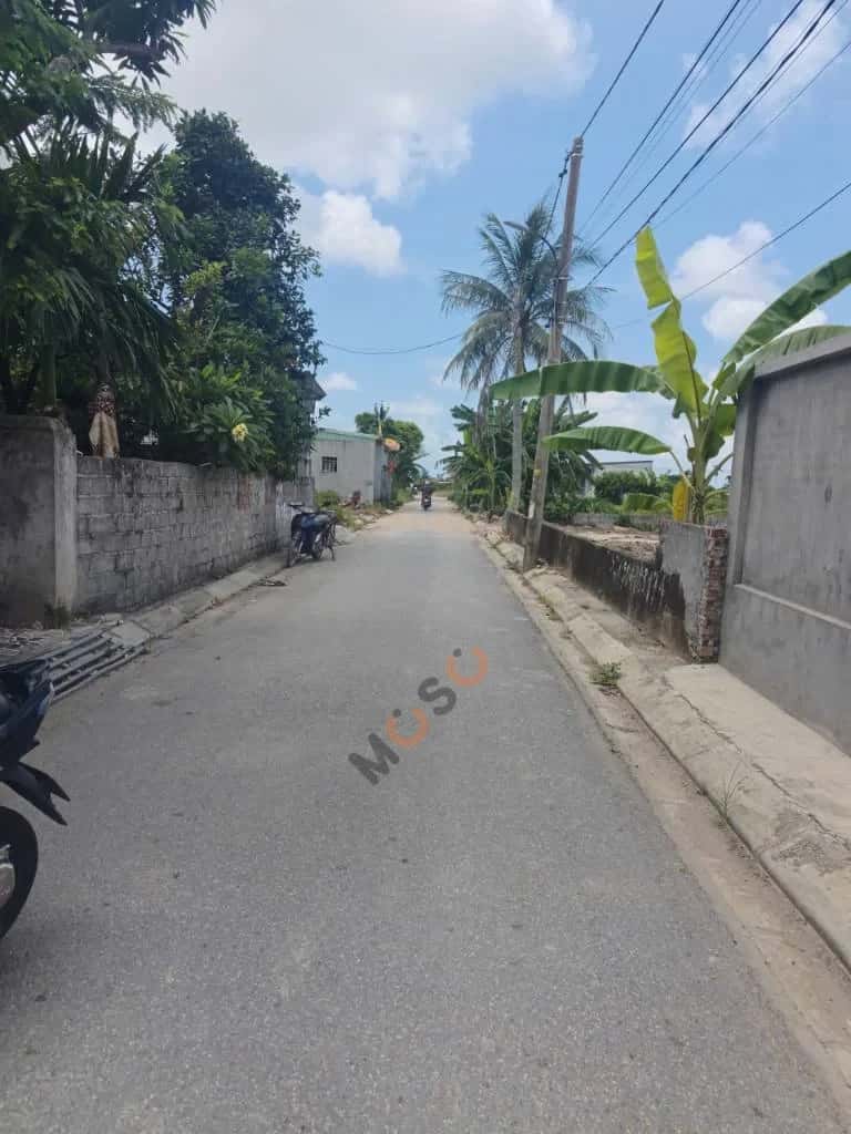 Bán đất Tổ dân phố Quang Trung Quận Đồ Sơn, TP. Hải Phòng – giá 1.8 tỷ — Hình 3 Bán đất Tổ dân phố Quang Trung Quận Đồ Sơn, TP. Hải Phòng – giá 1.8 tỷ — Hình 3