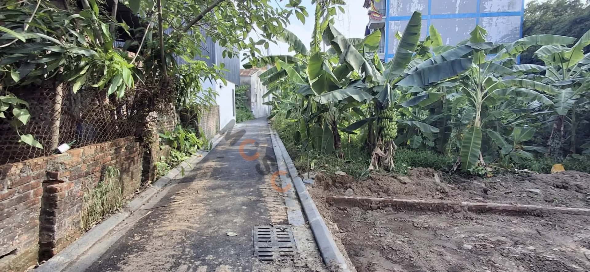 Bán đất Quốc Lộ 23, Xóm Nhì Huyện Đông Anh, TP. Hà Nội – giá 3.6 tỷ — Hình 2 Bán đất Quốc Lộ 23, Xóm Nhì Huyện Đông Anh, TP. Hà Nội – giá 3.6 tỷ — Hình 2