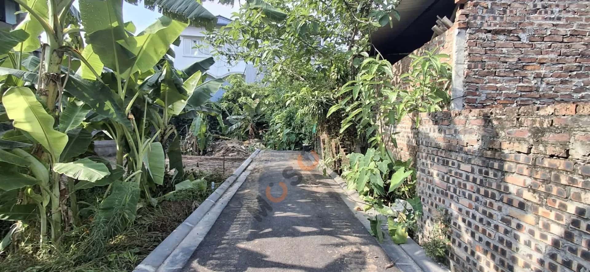 Bán đất Quốc Lộ 23, Xóm Nhì Huyện Đông Anh, TP. Hà Nội – giá 3.6 tỷ — Hình 3 Bán đất Quốc Lộ 23, Xóm Nhì Huyện Đông Anh, TP. Hà Nội – giá 3.6 tỷ — Hình 3
