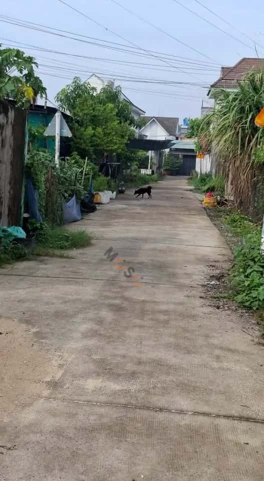 Hình ảnh nhà 3 Hình ảnh nhà 3