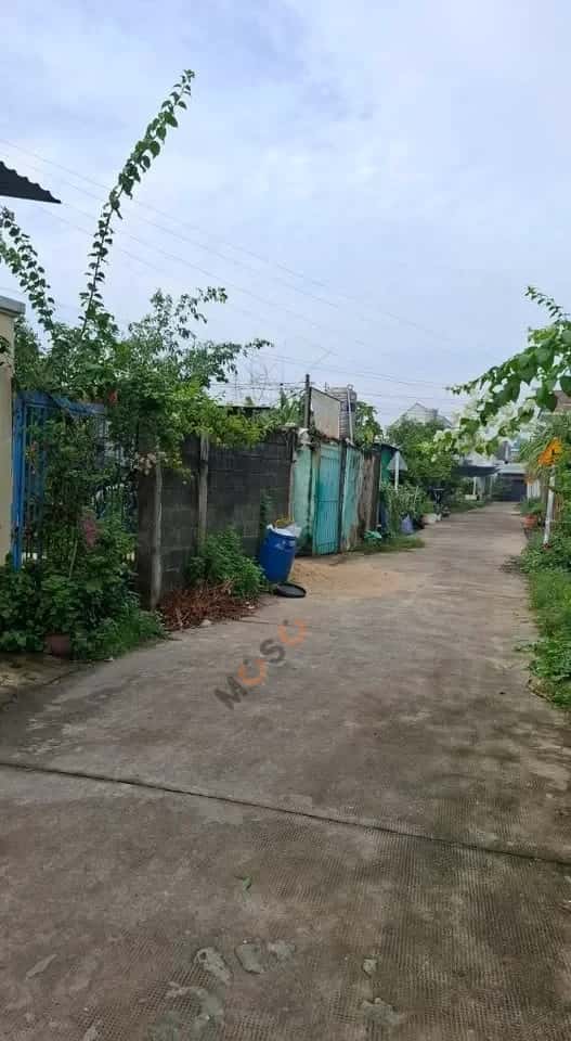 Hình ảnh nhà 2 Hình ảnh nhà 2