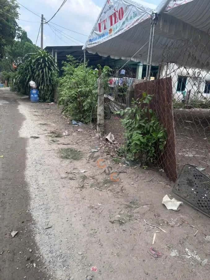 Hình ảnh nhà 2 Hình ảnh nhà 2