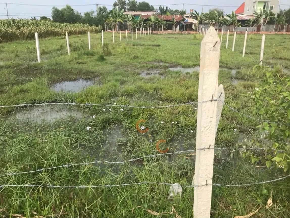 Hình ảnh nhà 2 Hình ảnh nhà 2