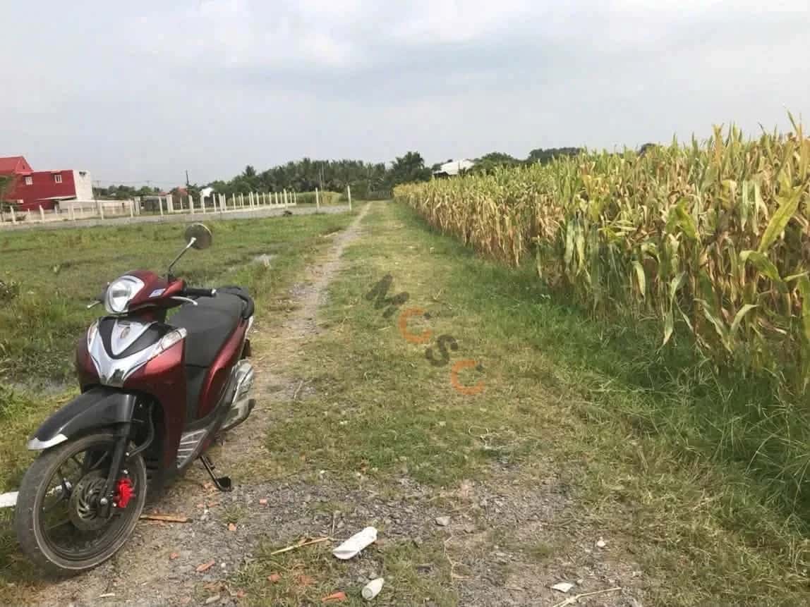 Hình ảnh nhà 3 Hình ảnh nhà 3