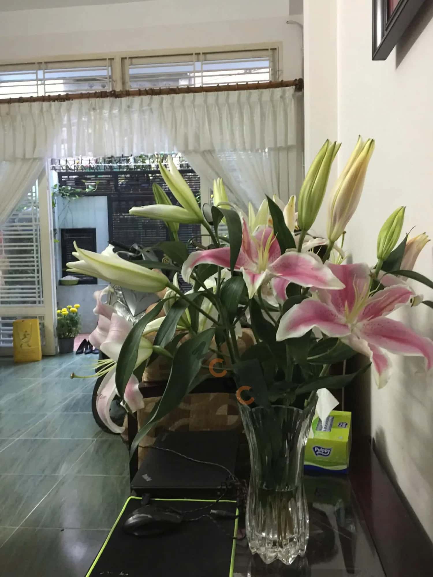 Hình ảnh nhà 3 Hình ảnh nhà 3