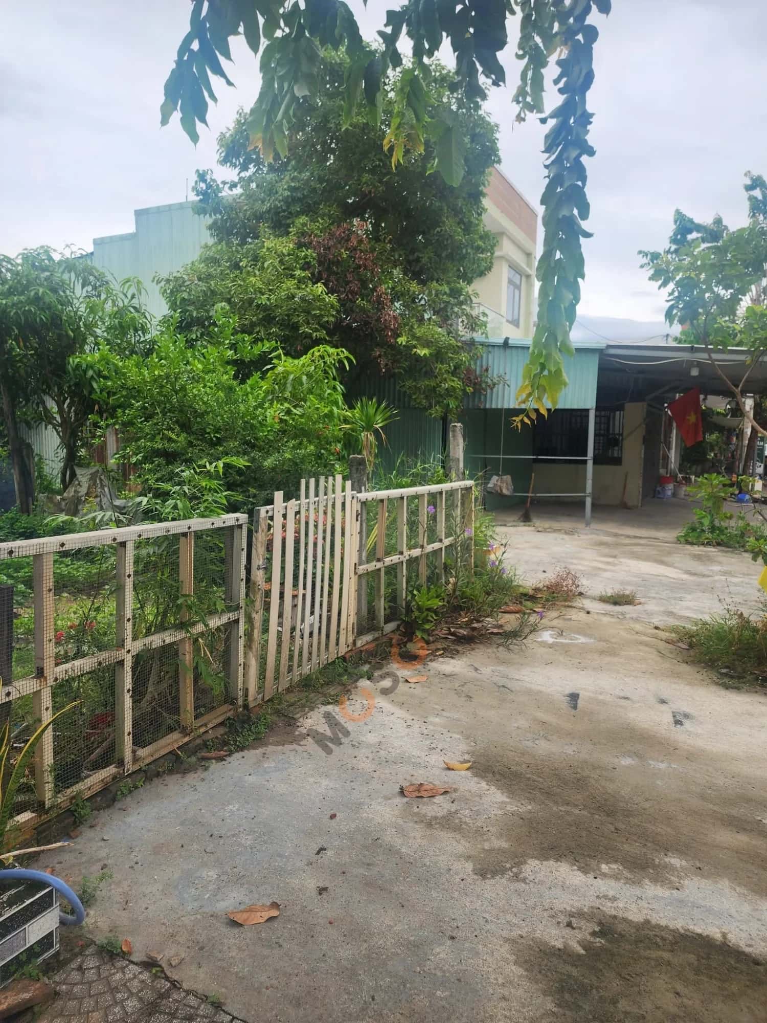 Hình ảnh nhà 2 Hình ảnh nhà 2