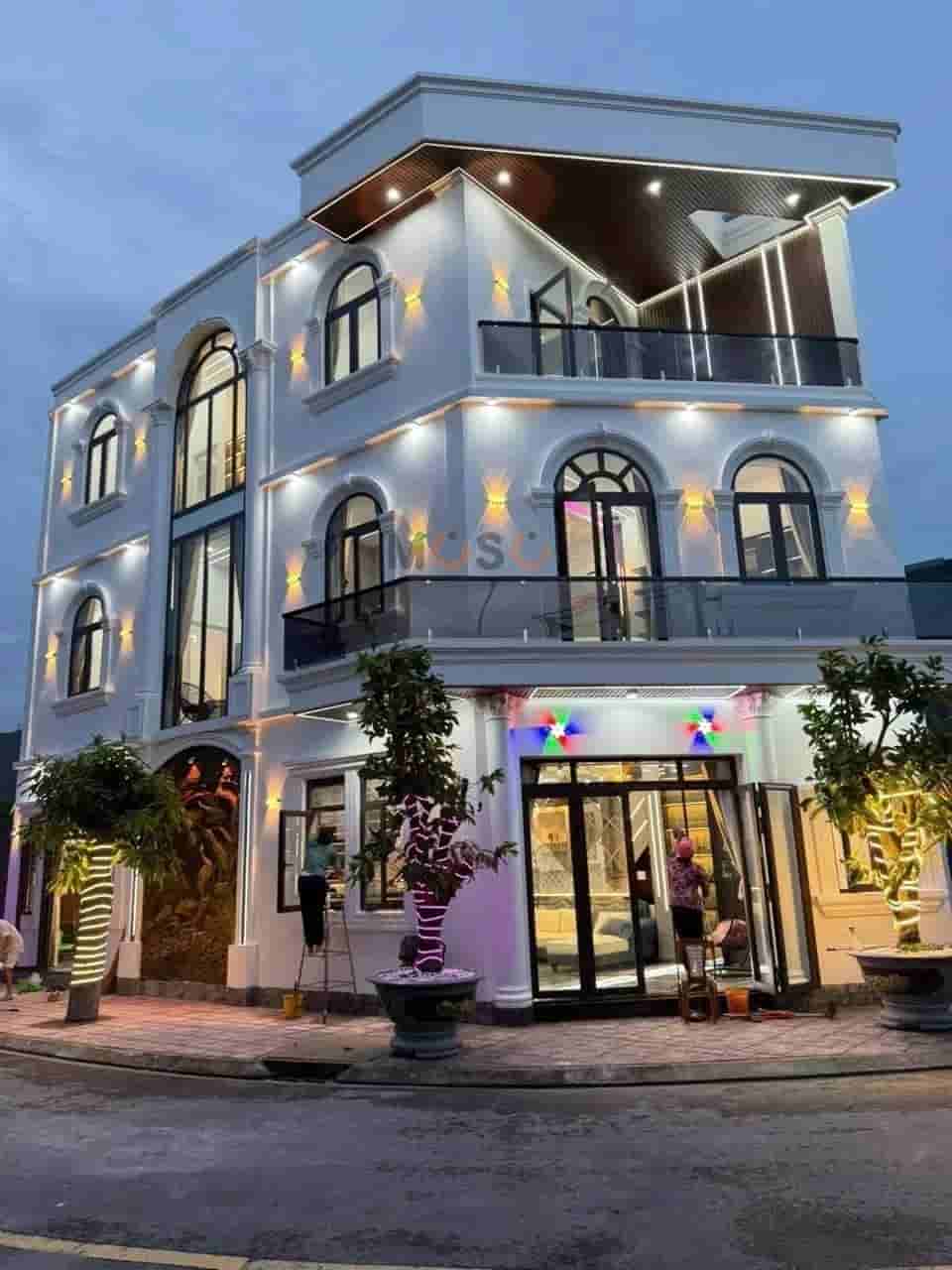 Image Image