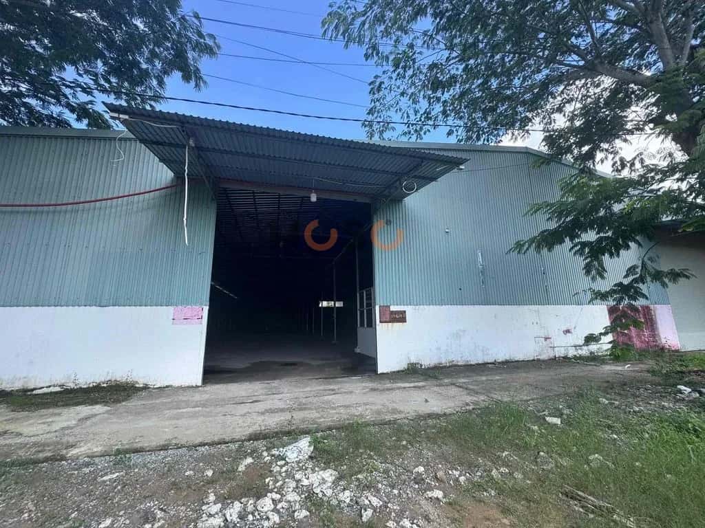 Cho thuê kho, nhà xưởng Mai Chí Thọ Hưng Phú, Cần Thơ – giá 50 triệu — Hình 3 Cho thuê kho, nhà xưởng Mai Chí Thọ Hưng Phú, Cần Thơ – giá 50 triệu — Hình 3