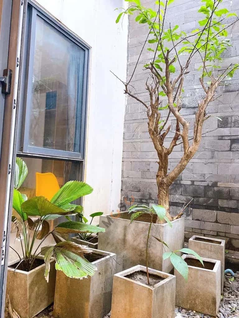 Cho thuê căn hộ chung cư Võ Văn Kiệt An Hải, Đà Nẵng – 2 phòng ngủ, giá 13 triệu — Hình 3 Cho thuê căn hộ chung cư Võ Văn Kiệt An Hải, Đà Nẵng – 2 phòng ngủ, giá 13 triệu — Hình 3