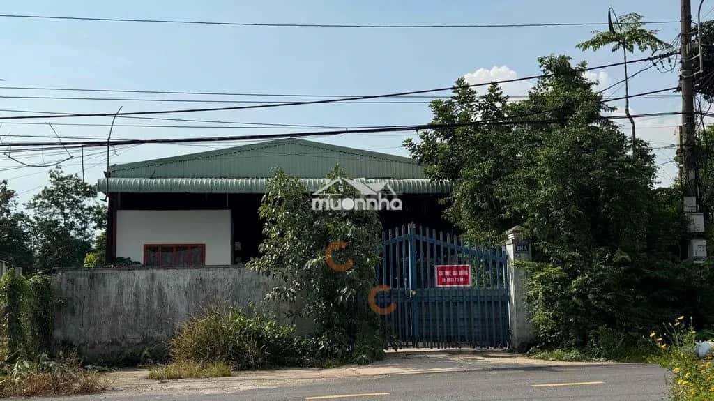 Cho thuê kho, nhà xưởng Đường Lý Thị Chùng Huyện Củ Chi, TP.HCM – giá 10 triệu — Hình 3 Cho thuê kho, nhà xưởng Đường Lý Thị Chùng Huyện Củ Chi, TP.HCM – giá 10 triệu — Hình 3