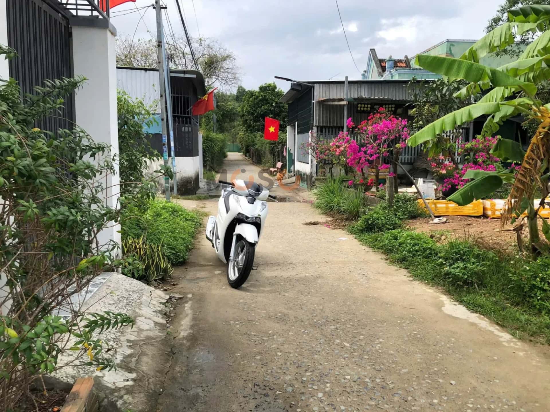 Hình ảnh nhà 2 Hình ảnh nhà 2