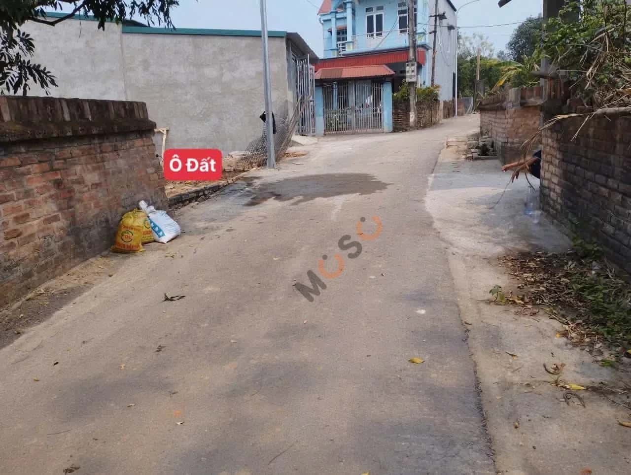 Bán đất Thôn Hương Ngọc Huyện Bình Xuyên, Vĩnh Phúc – giá 1.3 tỷ — Hình 3 Bán đất Thôn Hương Ngọc Huyện Bình Xuyên, Vĩnh Phúc – giá 1.3 tỷ — Hình 3