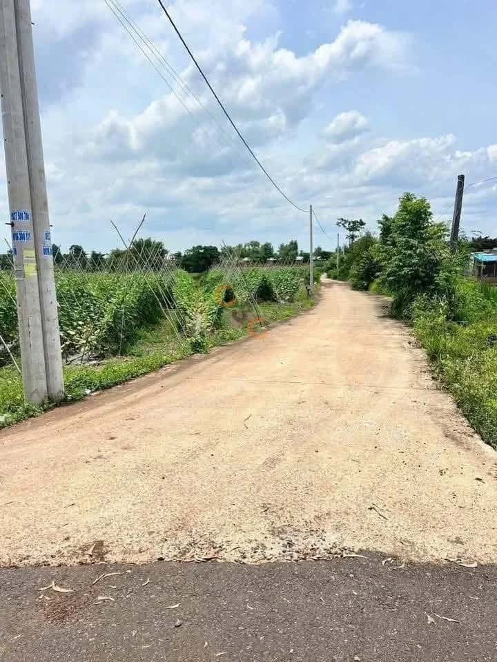 Hình ảnh nhà 3 Hình ảnh nhà 3