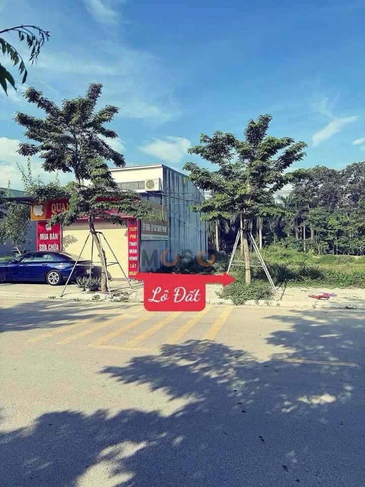 Bán đất Mai Hắc Đế Thành phố Vĩnh Yên, Vĩnh Phúc – giá 3.2 tỷ Bán đất Mai Hắc Đế Thành phố Vĩnh Yên, Vĩnh Phúc – giá 3.2 tỷ