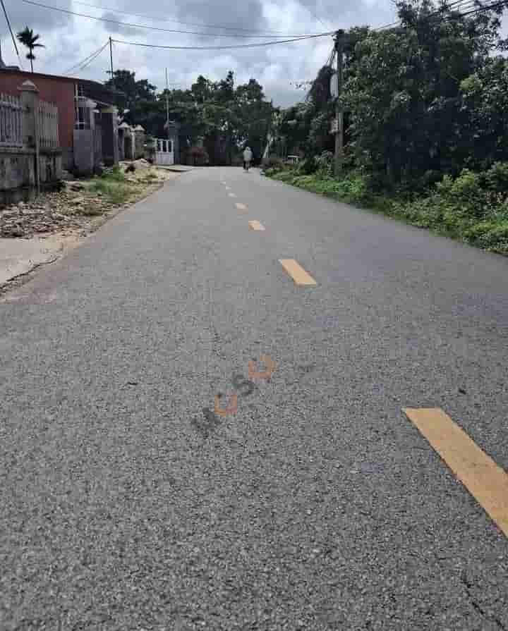 Image Image