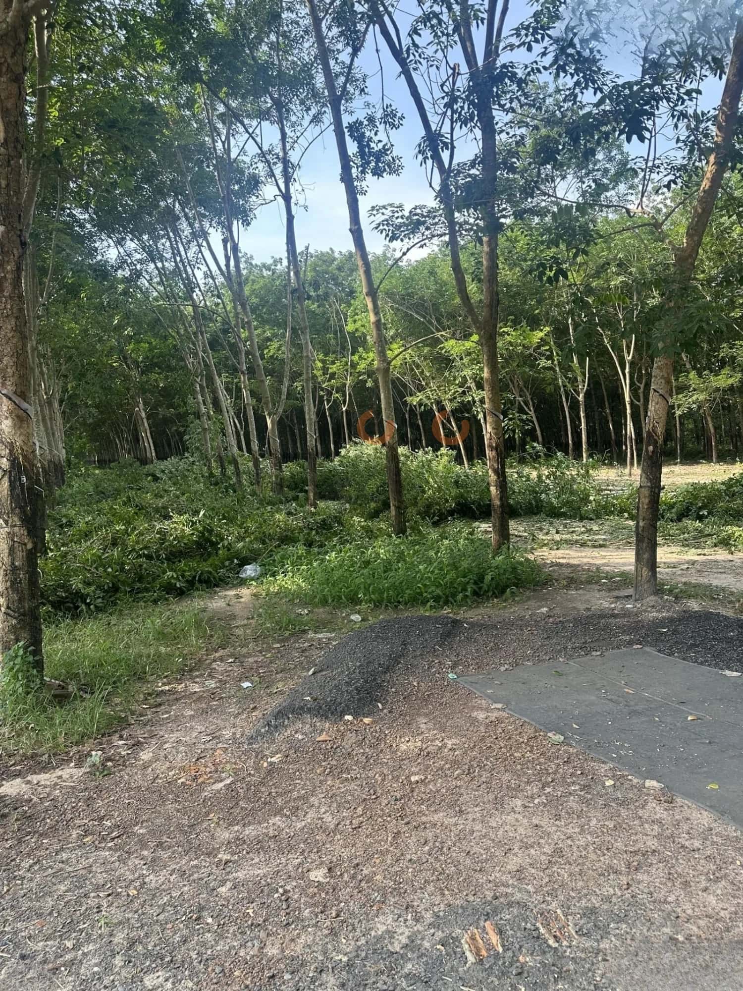 Hình ảnh nhà 2 Hình ảnh nhà 2