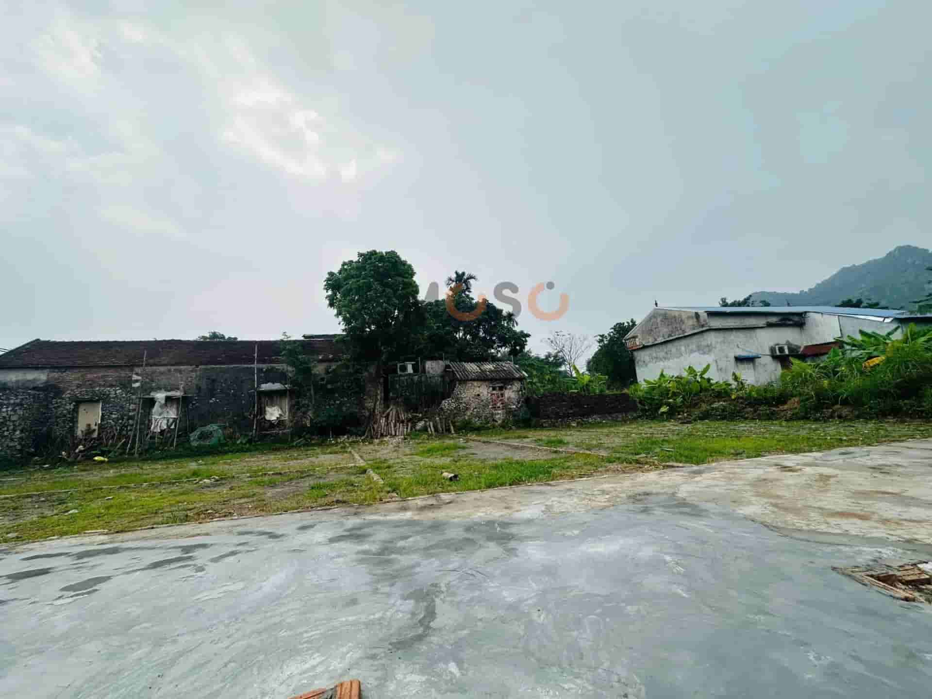Image Image