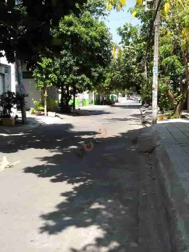 Image Image