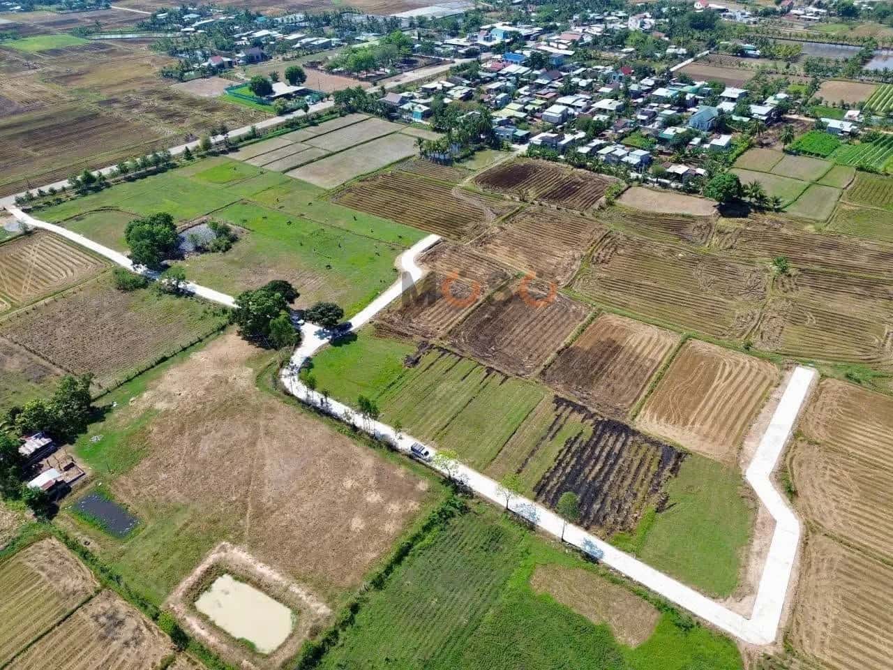 Bán đất đường ĐT 656, Thôn Tân Lập 2 Huyện Ninh Sơn, Ninh Thuận – giá 700 triệu — Hình 2 Bán đất đường ĐT 656, Thôn Tân Lập 2 Huyện Ninh Sơn, Ninh Thuận – giá 700 triệu — Hình 2