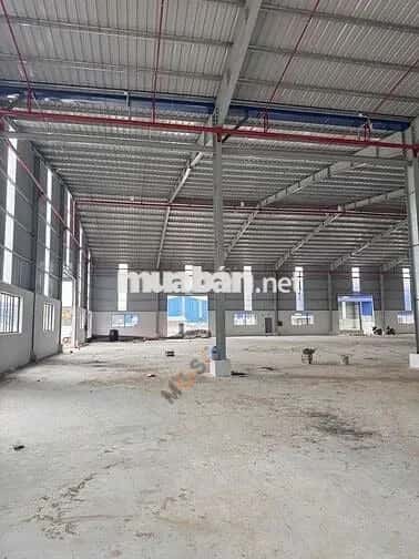 Cho thuê kho, nhà xưởng Phú Giáo, Bình Dương – giá 125 triệu — Hình 3 Cho thuê kho, nhà xưởng Phú Giáo, Bình Dương – giá 125 triệu — Hình 3