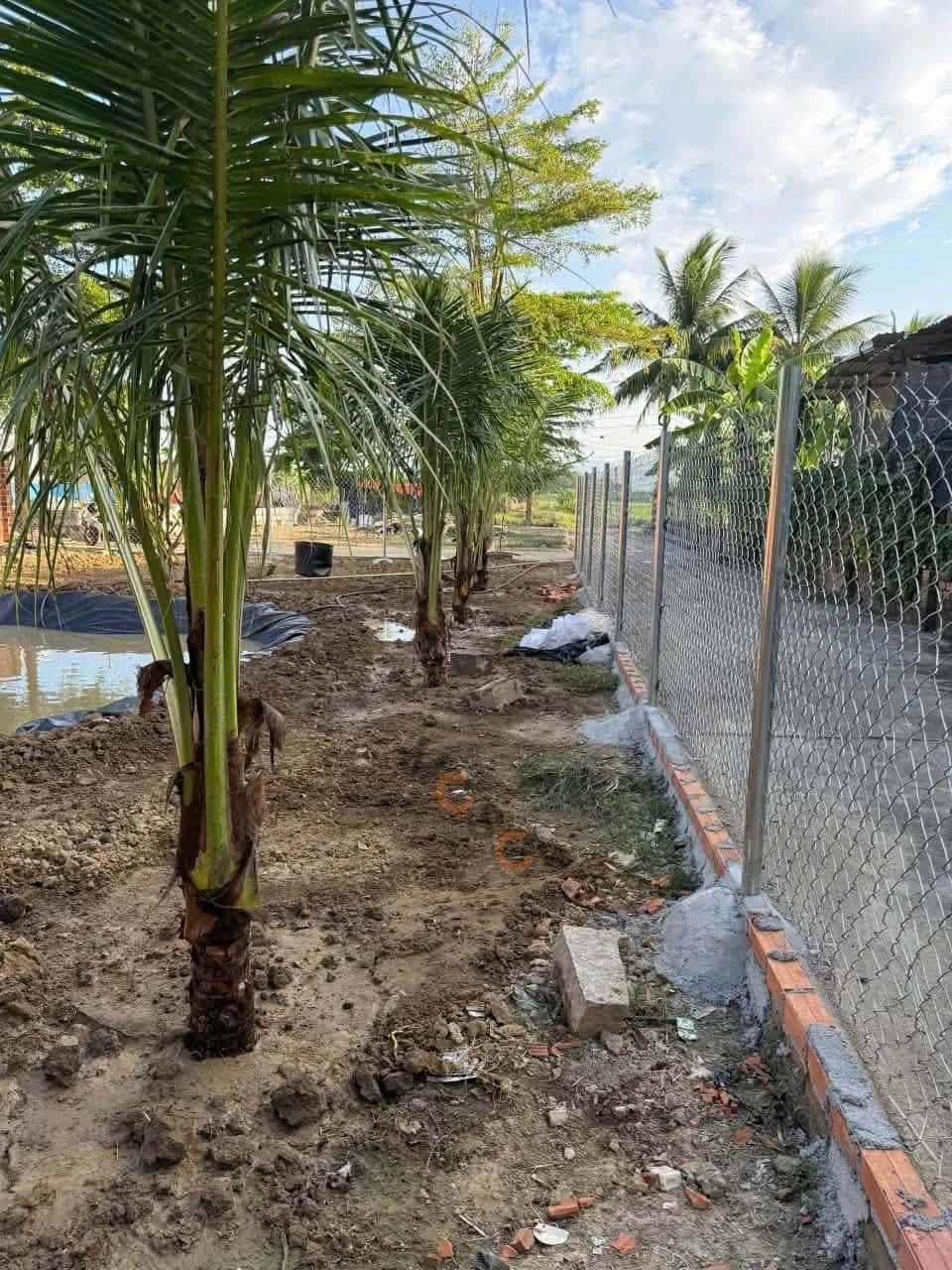 Bán đất Thôn Đại Điền Trung 3 Huyện Diên Khánh, Khánh Hòa – giá 1.5 tỷ — Hình 3 Bán đất Thôn Đại Điền Trung 3 Huyện Diên Khánh, Khánh Hòa – giá 1.5 tỷ — Hình 3