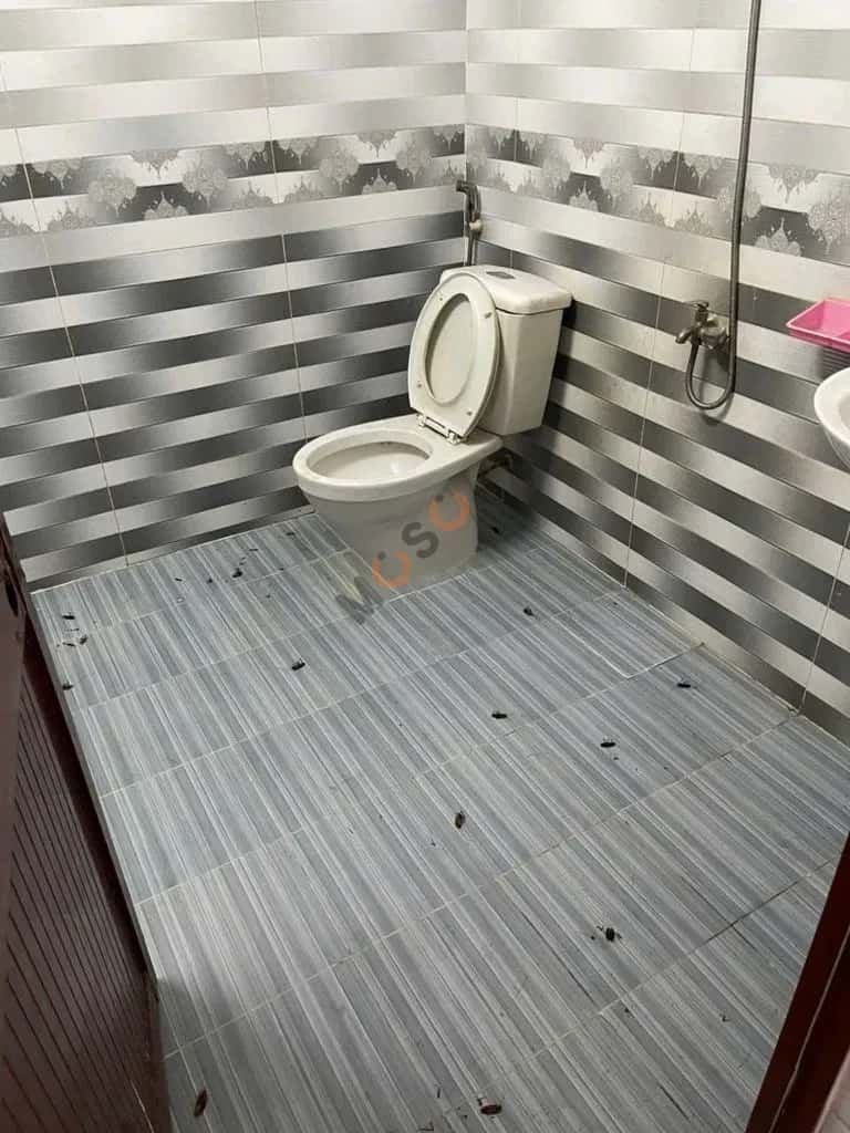 Cho thuê nhà hẻm Cư Xá Phú Lâm A Quận 6, TP.HCM – 2 phòng ngủ, giá 8.5 triệu — Hình 2 Cho thuê nhà hẻm Cư Xá Phú Lâm A Quận 6, TP.HCM – 2 phòng ngủ, giá 8.5 triệu — Hình 2