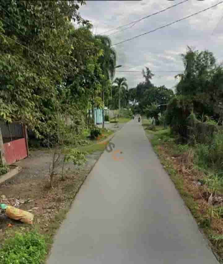 Image Image