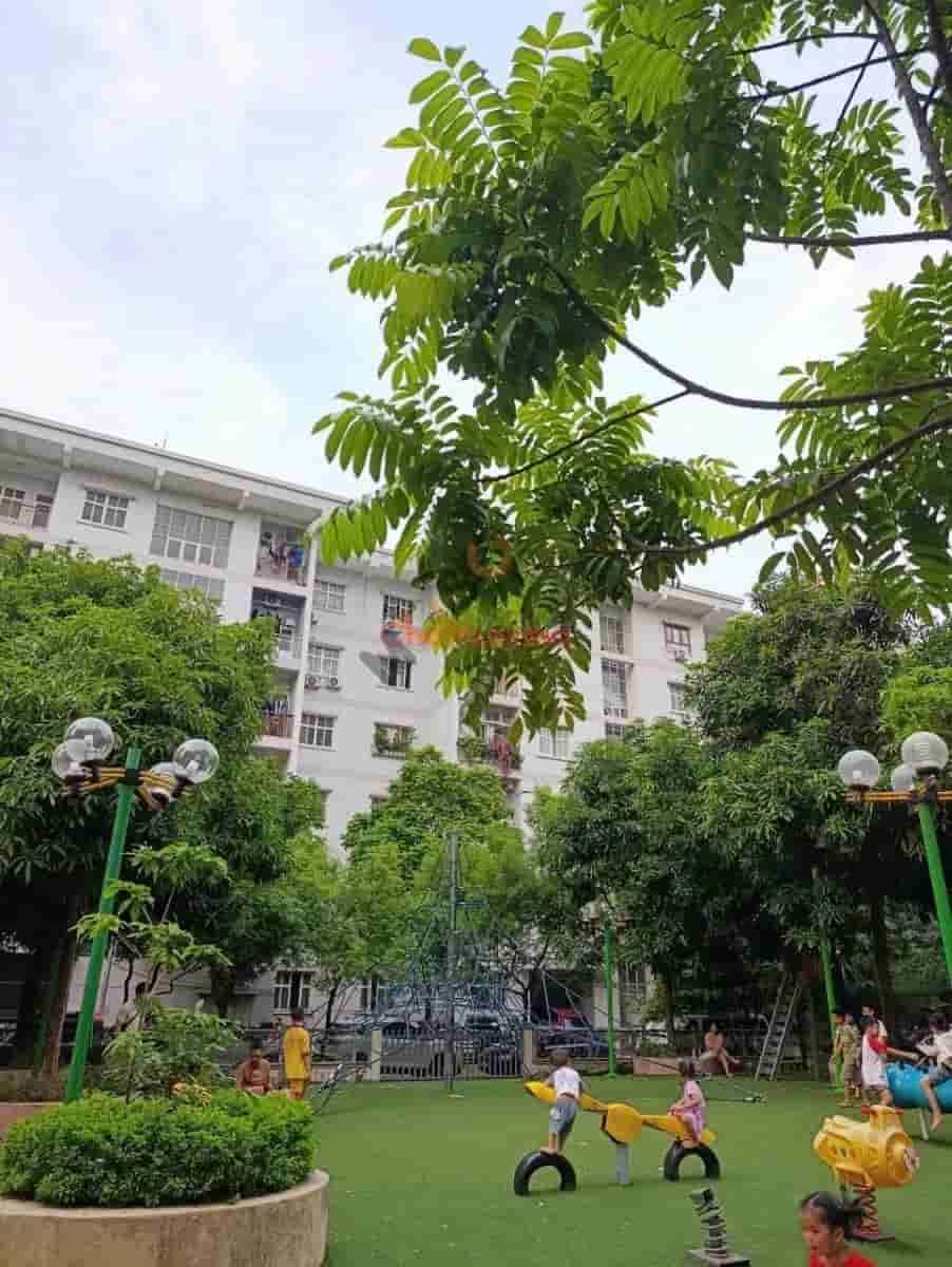 Image Image