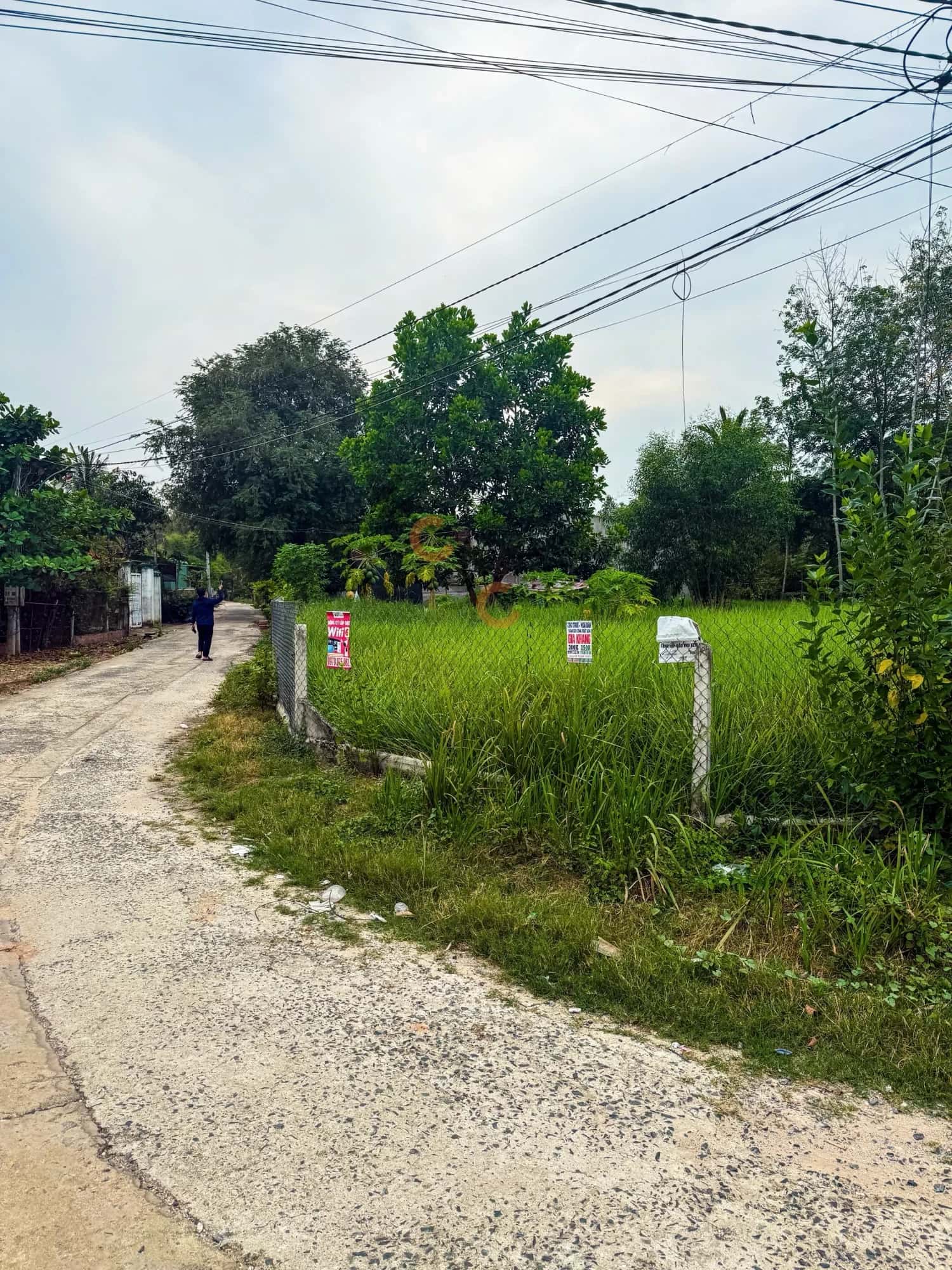 Bán đất Hoàng Quốc Việt Huyện Tân Biên, Tây Ninh – giá 4.6 tỷ — Hình 2 Bán đất Hoàng Quốc Việt Huyện Tân Biên, Tây Ninh – giá 4.6 tỷ — Hình 2