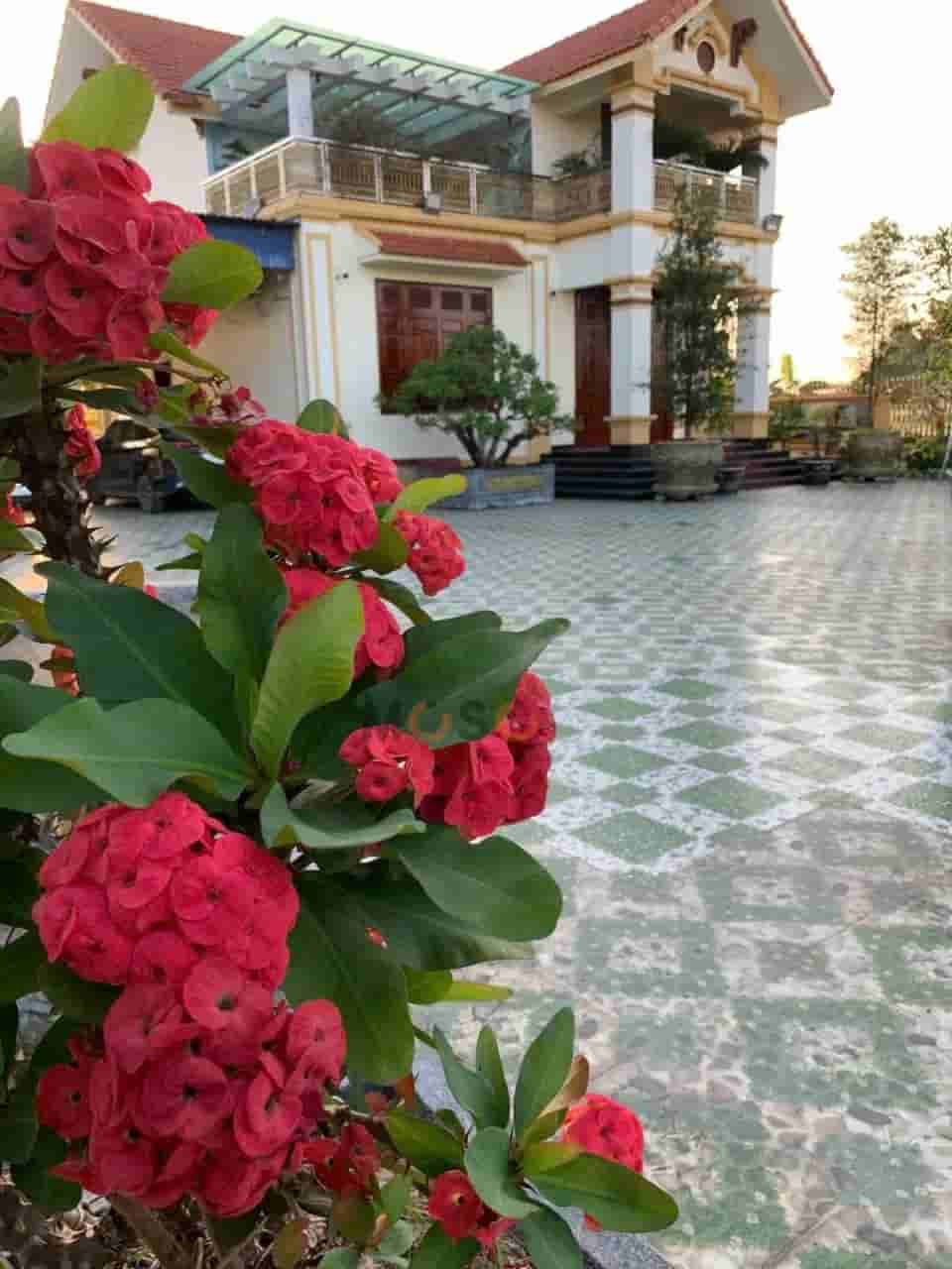 Image Image