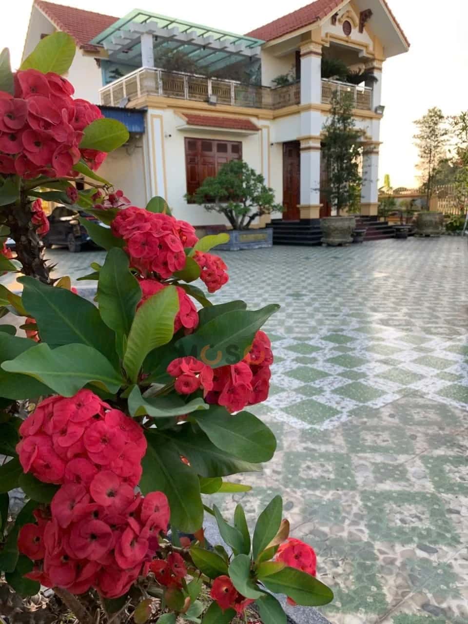Bán nhà hẻm Thôn 10 Thành phố Thuỷ Nguyên, TP. Hải Phòng – 2 phòng ngủ, giá 7.6 tỷ — Hình 2 Bán nhà hẻm Thôn 10 Thành phố Thuỷ Nguyên, TP. Hải Phòng – 2 phòng ngủ, giá 7.6 tỷ — Hình 2