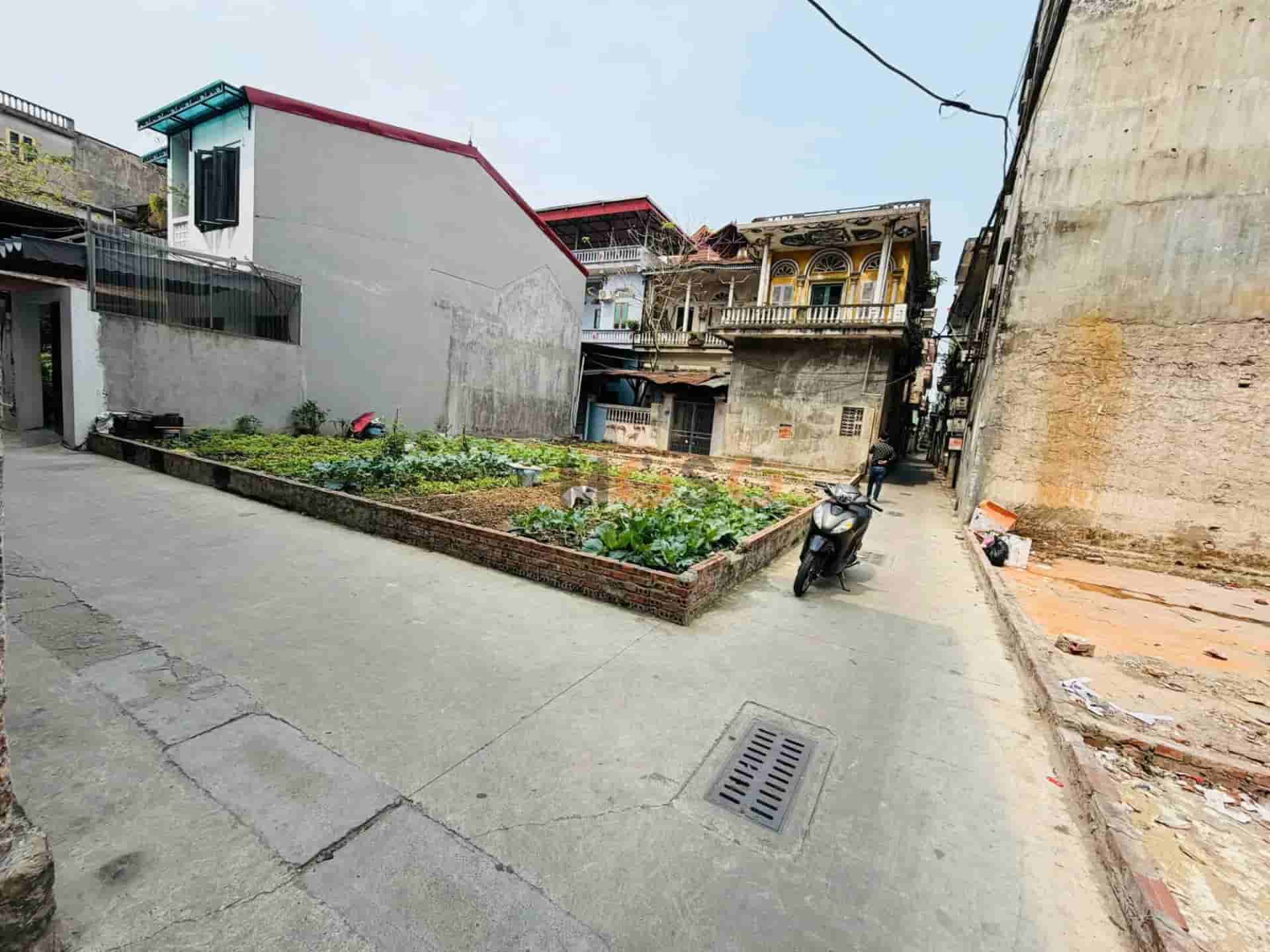 Image Image