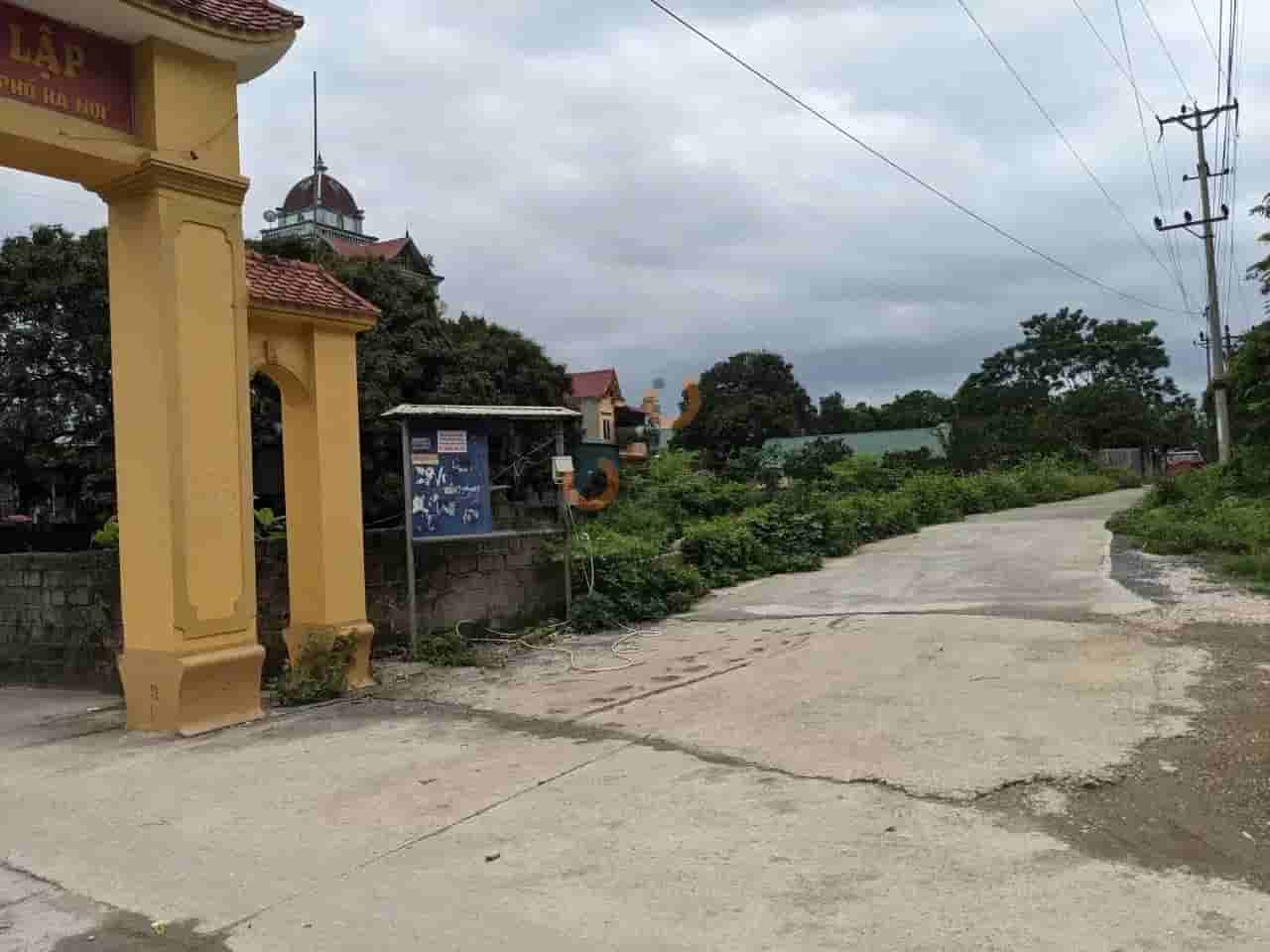 Image Image