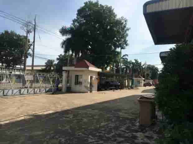 Image Image