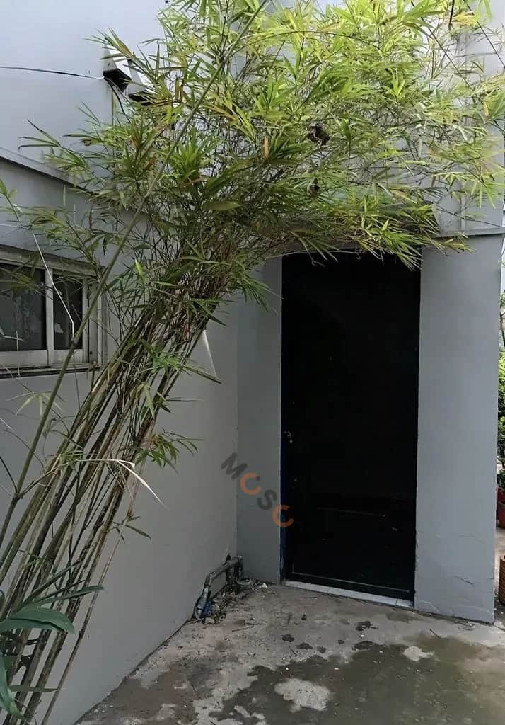 Cho thuê phòng trọ Võ Văn Ngân Thủ Đức, Ho Chi Minh – 1 phòng ngủ, giá 2.5 triệu Cho thuê phòng trọ Võ Văn Ngân Thủ Đức, Ho Chi Minh – 1 phòng ngủ, giá 2.5 triệu