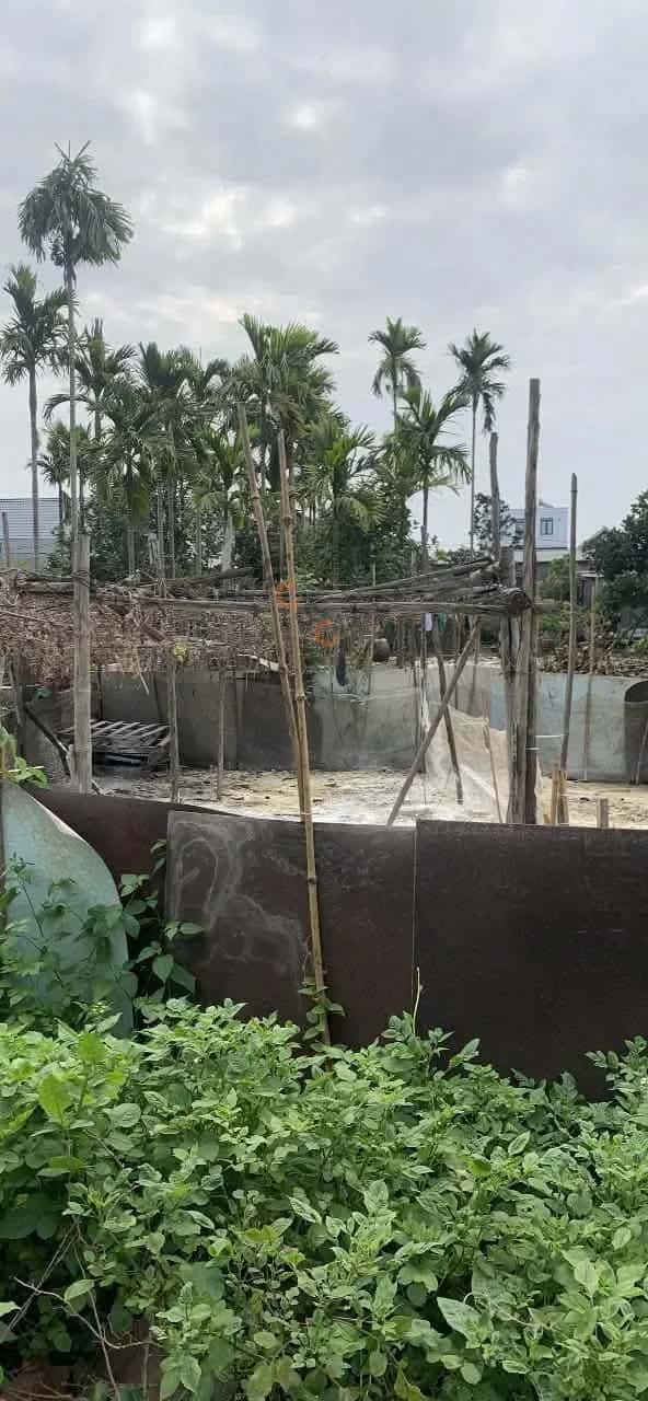 Bán đất Thôn Kiều Trung Quận An Dương, TP. Hải Phòng – giá 1.3 tỷ — Hình 3 Bán đất Thôn Kiều Trung Quận An Dương, TP. Hải Phòng – giá 1.3 tỷ — Hình 3
