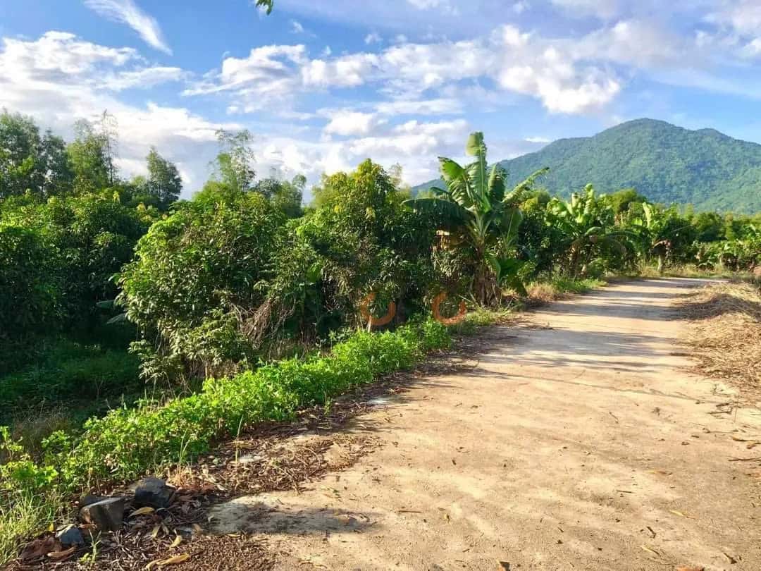 Bán đất Thôn Khánh Xuân Huyện Diên Khánh, Khánh Hòa – giá 2.1 tỷ — Hình 2 Bán đất Thôn Khánh Xuân Huyện Diên Khánh, Khánh Hòa – giá 2.1 tỷ — Hình 2