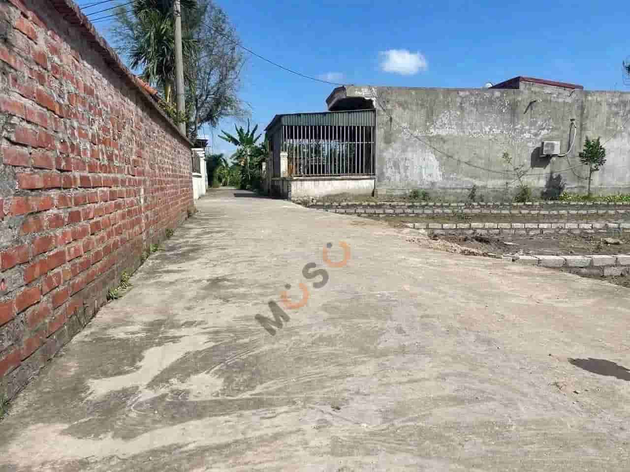 Image Image