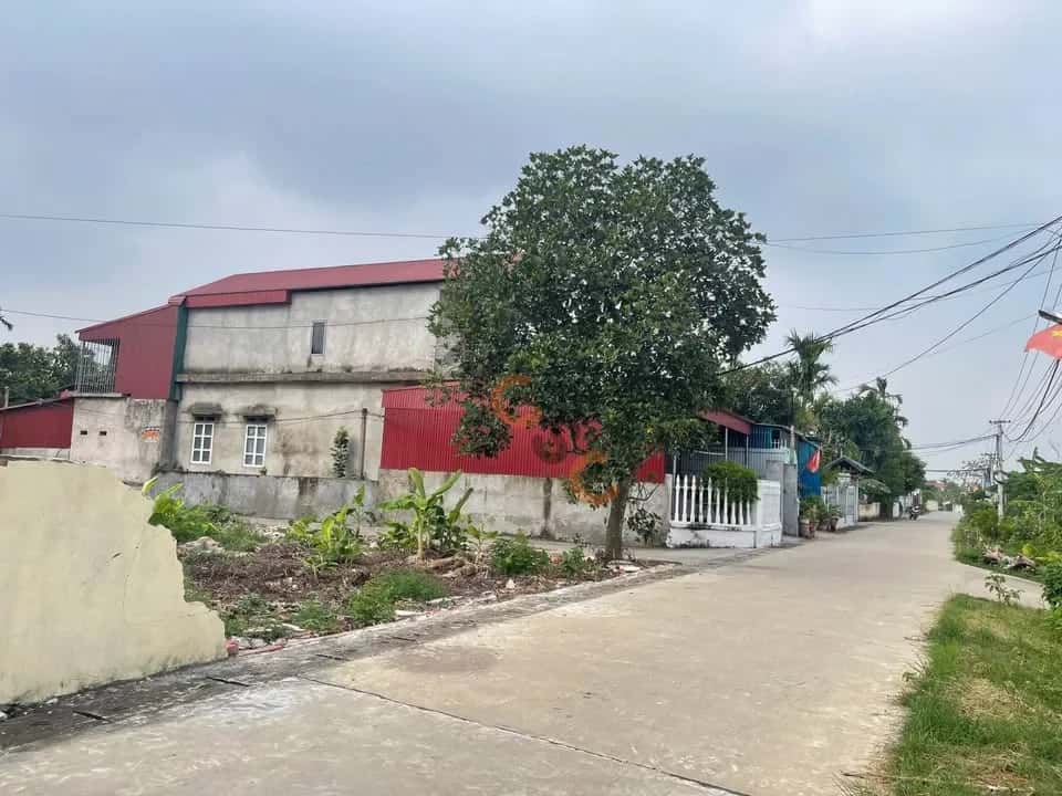 Bán đất ĐT 315, Khu 20 Huyện Tam Nông, Phú Thọ – giá 600 triệu — Hình 2 Bán đất ĐT 315, Khu 20 Huyện Tam Nông, Phú Thọ – giá 600 triệu — Hình 2