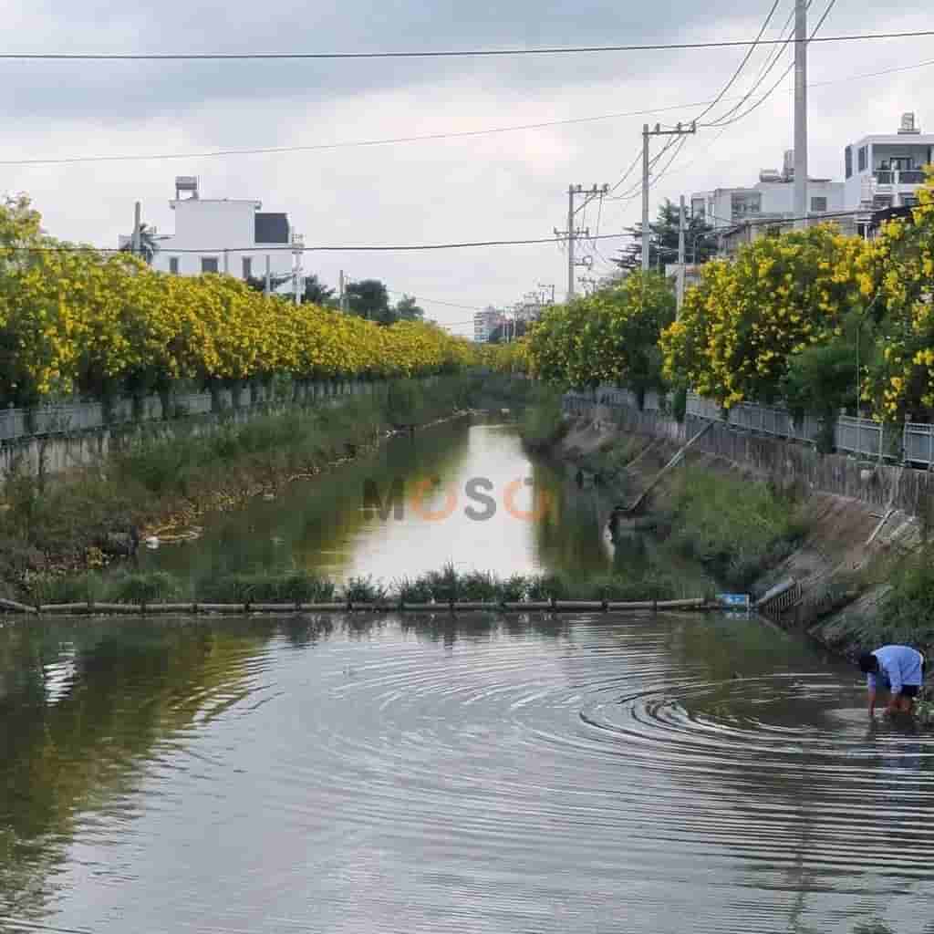 Image Image