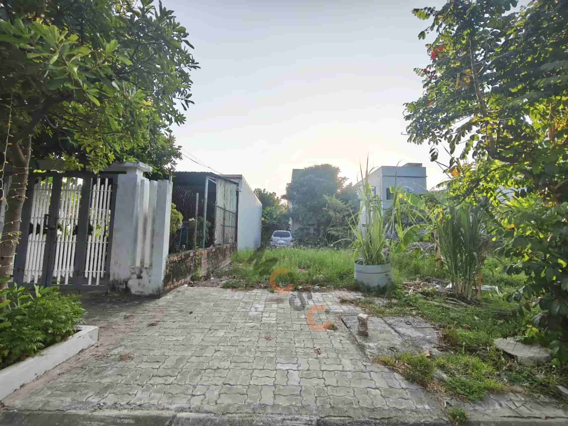 Image Image